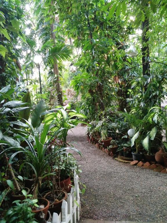 Green Woods Bethlehem Kochi Exteriör bild