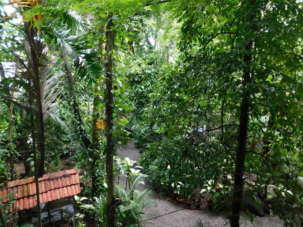 Green Woods Bethlehem Kochi Exteriör bild